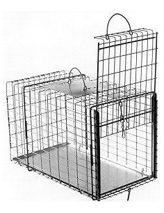 Klatka Transfer 307 do...