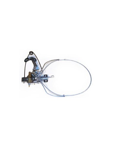 Poskrom na lisy Collarum