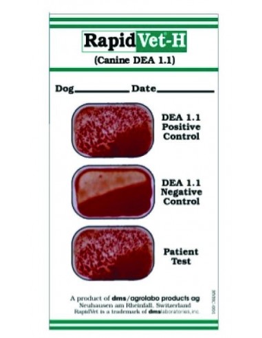 Rapid Vet H-Canine 5 szt/op