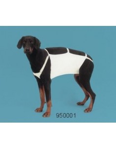 Opatrunek  brzuszny rozm. 7 2