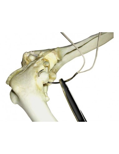 Podwójna nić nylonowa 80 lb + igła +...