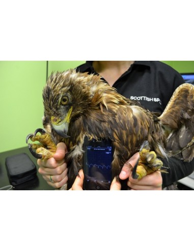 Monitor Serca iPhone EKG VET