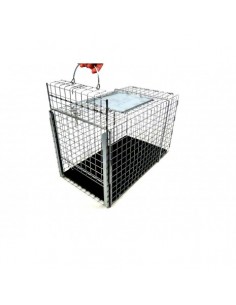 Klatka Transfer 306NC do transportu zwierząt - 51x28x30.5cm 2