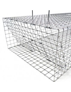 Klatka pułapka na gołębie 2