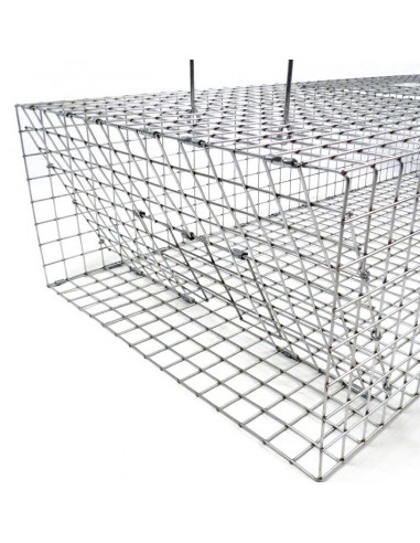 Klatka pułapka na gołębie