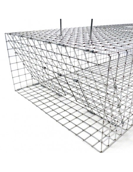 Klatka pułapka na gołębie