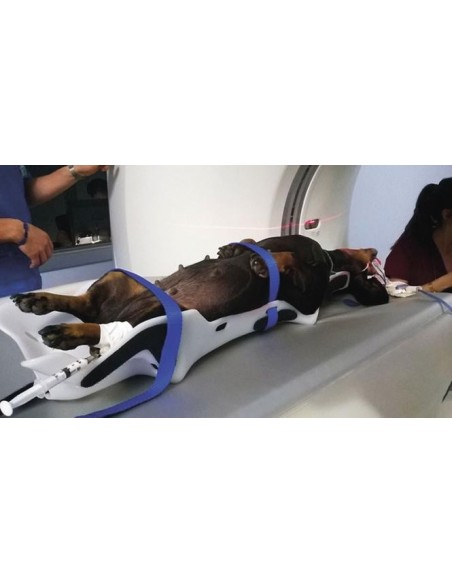 Zestaw 5 wyprofilowanych pozycjonerów - PAWSITIONER