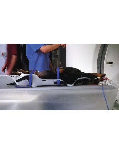 Zestaw 5 wyprofilowanych pozycjonerów - PAWSITIONER