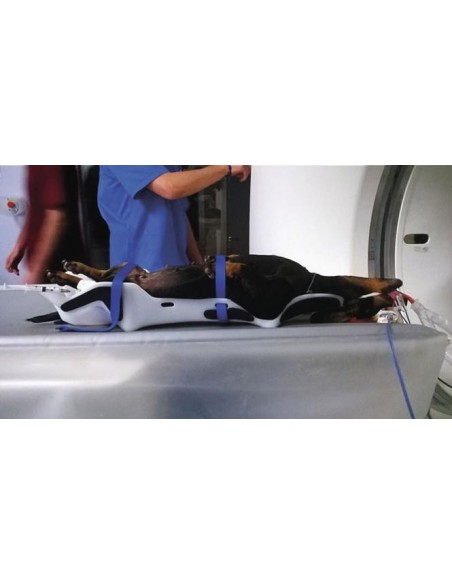 Zestaw 5 wyprofilowanych pozycjonerów - PAWSITIONER