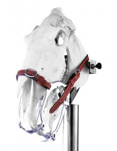 Rozwieracz dla koni World Wide Equine 2020