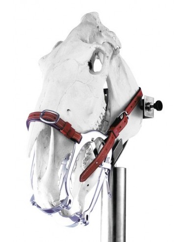 Rozwieracz dla koni World Wide Equine 2020