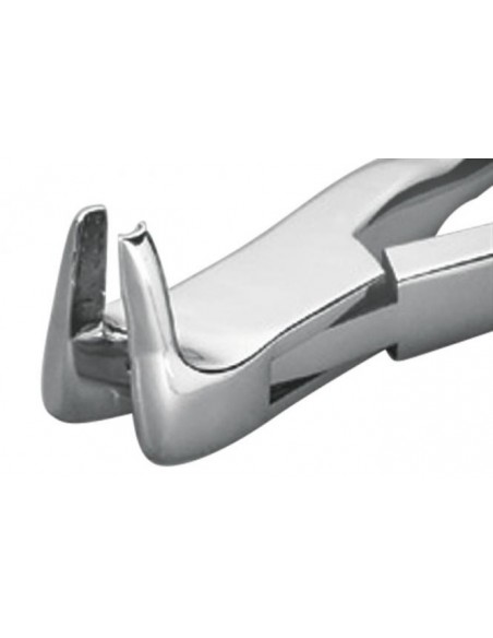 WWE Kleszcze do fragmentów korzeni