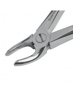 Kleszcze dentystyczne dla małych psów i kotów