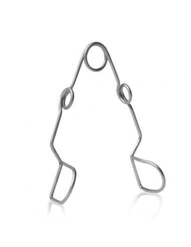 Rozwieracz policzkowy dla gryzoni