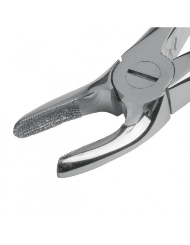 Kleszcze dentystyczne dla psów