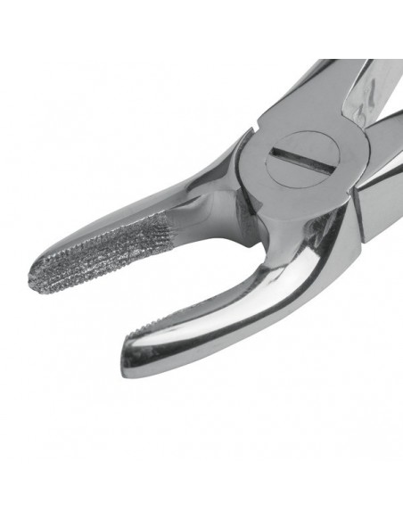 Kleszcze dentystyczne dla psów