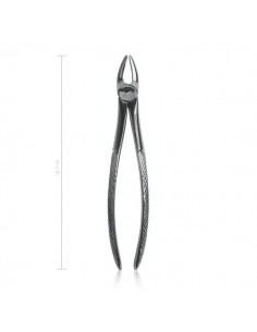 Kleszcze dentystyczne dla psów