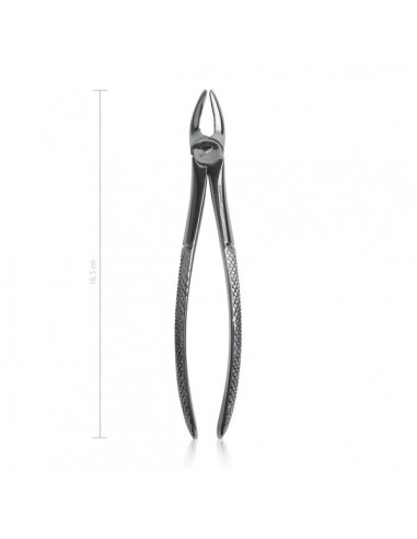 Kleszcze dentystyczne dla psów