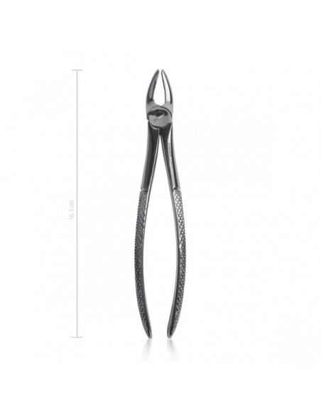 Kleszcze dentystyczne dla psów