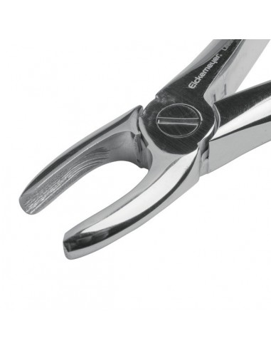 Kleszcze dentystyczne dla psów