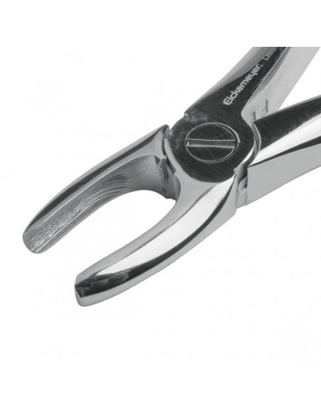 Kleszcze dentystyczne dla psów