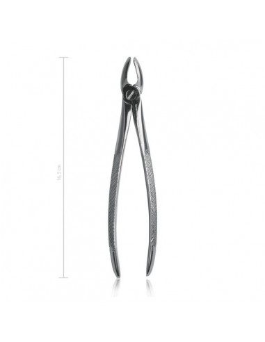 Kleszcze dentystyczne dla psów