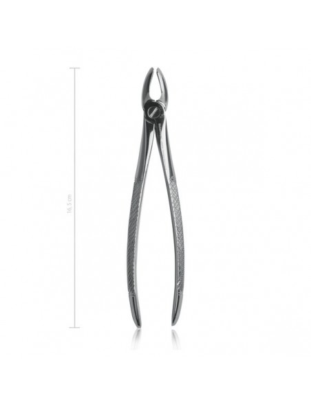 Kleszcze dentystyczne dla psów