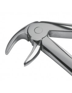 Kleszcze dentystyczne 2