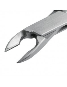 Obcęgi wolframowe do zębów trzonowych gryzoni 2