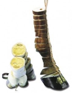 Model nogi konia, szkoleniowy