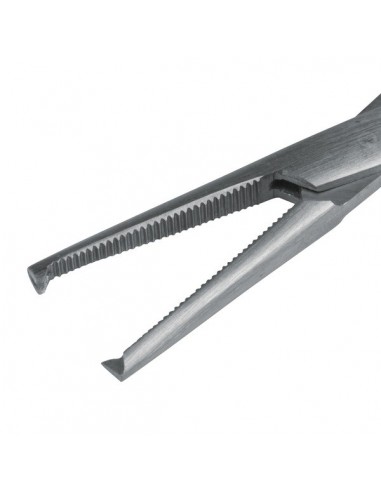 Kleszczyki naczyniowe...