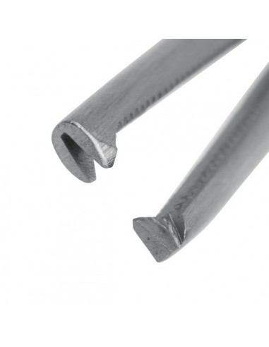 Kleszczyki naczyniowe...