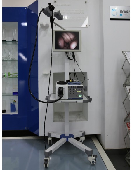 Video Procesor LED do video endoskopów