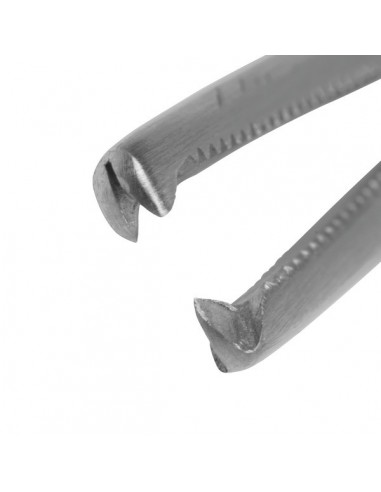 Kleszczyki naczyniowe z ząbkami HALSTEAD-MOSQUITO proste 12.5 cm