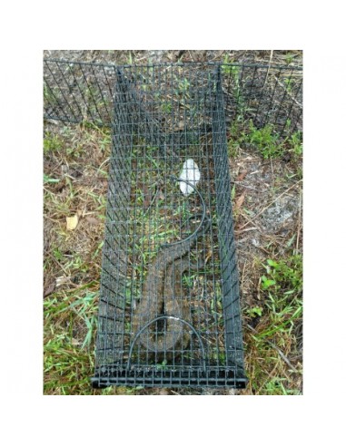 Mała klatka pułapka na węże