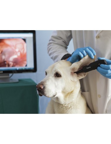 Weterynaryjny Video Otoskop...