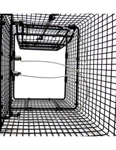 Klatka pułapka na kuny, szopy, zające