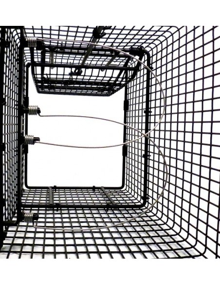 Klatka pułapka na kuny, szopy, zające