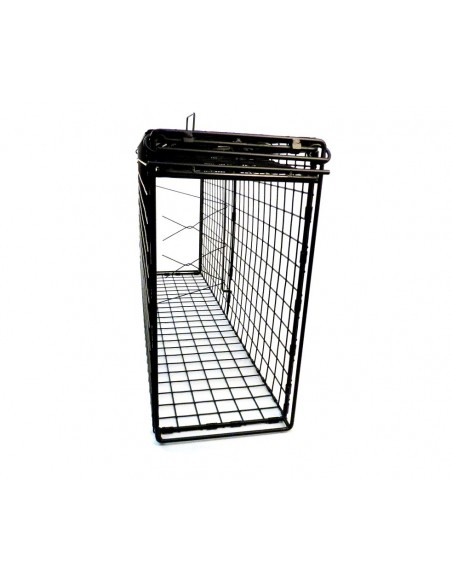 Klatka pułapka na rysie i lisy