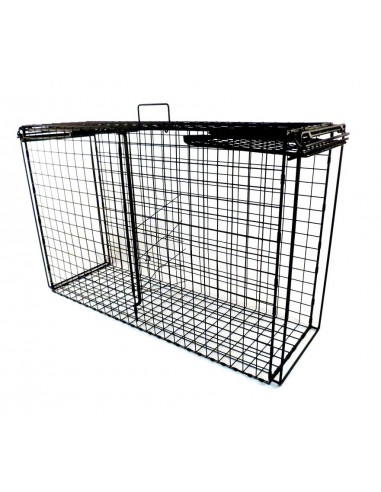 Klatka pułapka na rysie i lisy