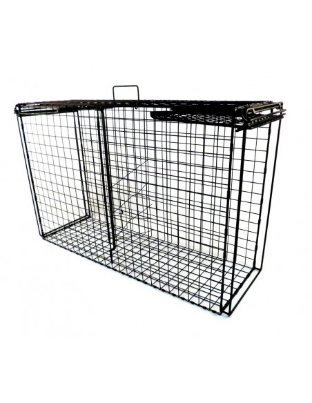 Klatka pułapka na rysie i lisy