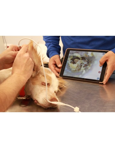 Weterynaryjny otoskop WiFi