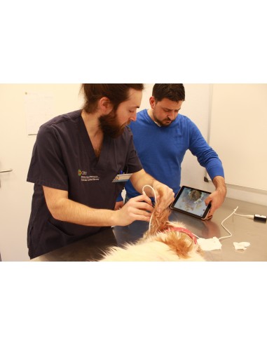 Weterynaryjny otoskop WiFi