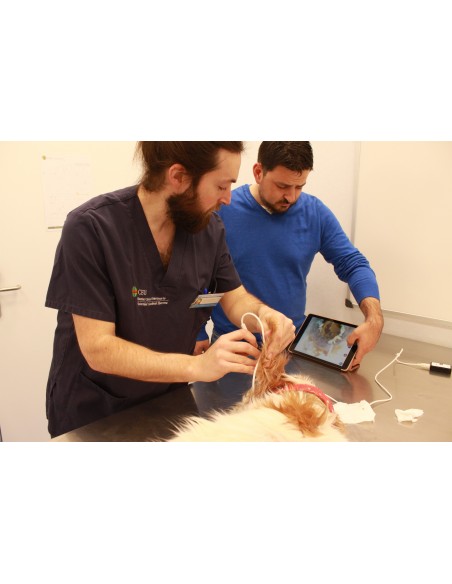 Weterynaryjny otoskop WiFi