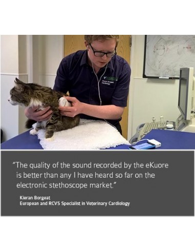 Weterynaryjny stetoskop wiFi Premium