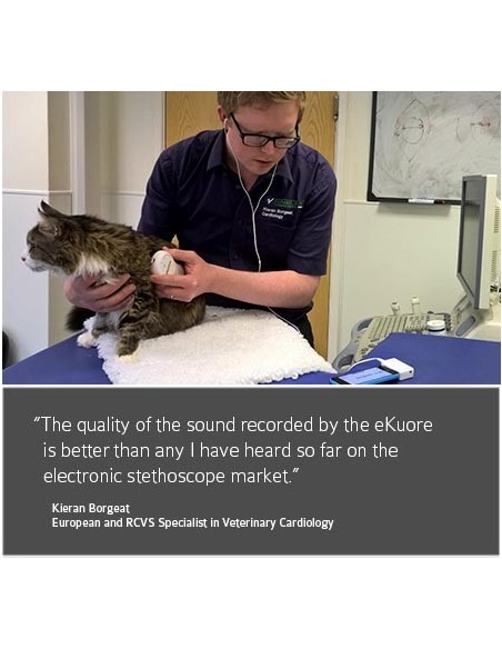 Weterynaryjny stetoskop Teaching kit