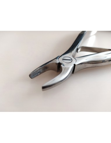 Kleszcze ekstrakcyjne proste 11cm